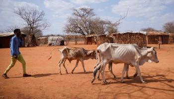 الجفاف في أثيوبيا (رويترز)