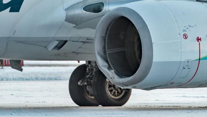 ZmXLOm Y - طائرة تصطدم بدب لدى هبوطها بمطار في ألاسكا