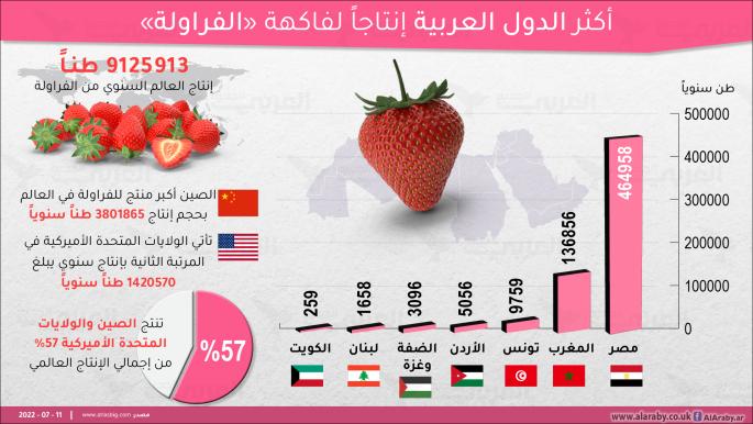 أكثر الدول العربية إنتاجاً لفاكهة "الفراولة"