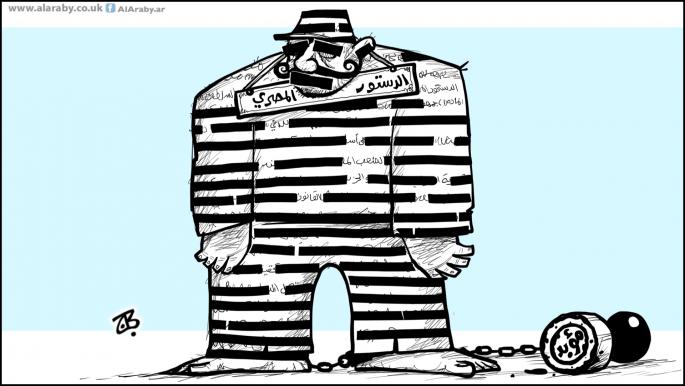 كاريكاتير الدستور المصري / حجاج