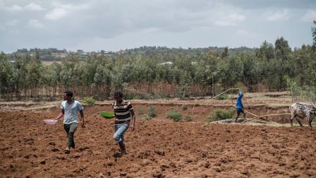 مزارعون إثيوبيون في قرية قرب مدينة بحر دار في 21/ 6/ 2021 (فرانس برس)