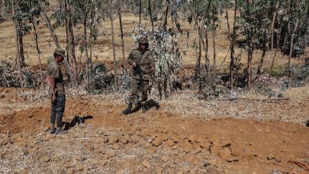 استعادت القوات الحكومية زمام المبادرة في إثيوبيا (Getty)