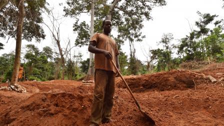 أحلام الذهب دمرت مزارع الكاكاو في غربي أفريقيا (getty)