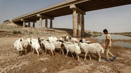 بحيرة حمرين الاصطناعية في وسط العراق 1 (أحمد الربيعي/ فرانس برس)