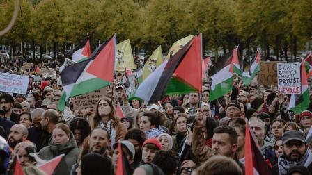 مظاهرات في لاهاي دعماً لفلسطين، 29 الشهر الماضي (Getty)