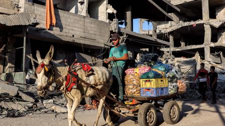 الأغذية شحيحة في أسواق غزة (محمد عابد/ فرانس برس)