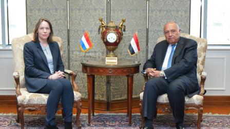 وزير خارجية مصر لقاء حول غزة (منصة إكس)