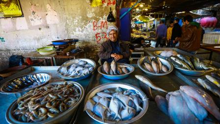 تشهد أسواق الأسماك إقبالاً كبيراً في العراق (مرتضى السوداني/ الأناضول)