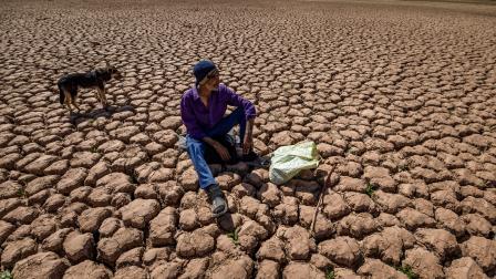 الجفاف يضرب المنتجات الزراعية في المغرب (getty)