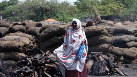 تجارة الفحم في الصومال/ فرانس برس
