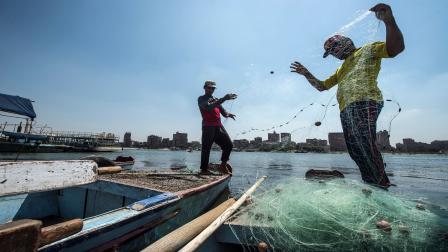 الصيد في مصر (فرانس برس)