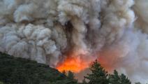 دخان هائل من حريق في كاليفورنيا (ديفيد مكنيو/Getty)
