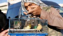 سوق الجمعة للطيور في الخليل 5 - مجتمع