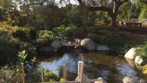 حديقة هنتنغتون في كاليفورنيا