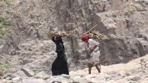 الحطب.. وقود اليمن اليومي في زمن الحرب