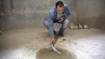 منزل مصري يستضيف "حديقة حيوانات" منذ نصف قرن